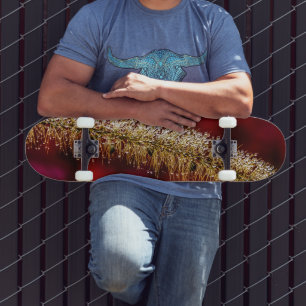 Morning Dew Skateboard