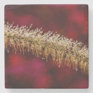 Morning Dew Stone Coaster