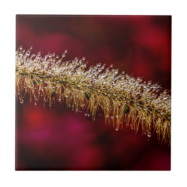 Morning Dew Tile (Front)