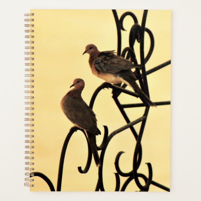 Morning Doves Planner (Front)