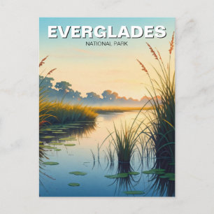 Morning Everglades National Park Florida Travel Postcard