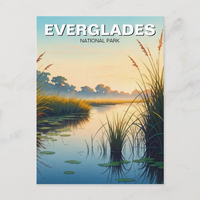 Morning Everglades National Park Florida Travel Postcard (Front)