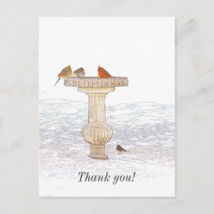 Morning Feeding DigitalArt Thank You Postcard