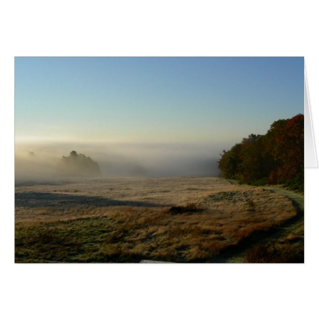 morning field (Front Horizontal)