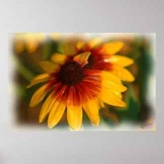 MORNING FLOWER OIL PRINT