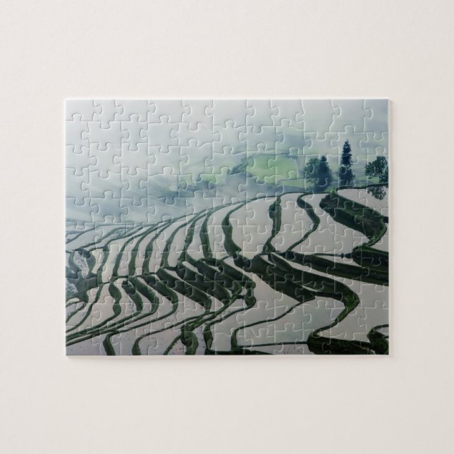 Morning Fog Above Rice Fields Jigsaw Puzzle (Horizontal)