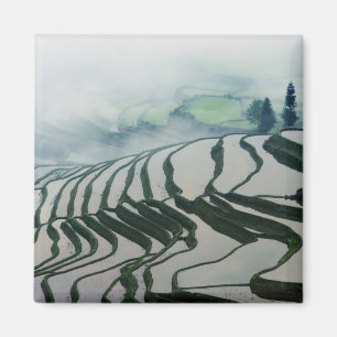 Morning Fog Above Rice Fields Magnet
