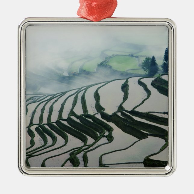 Morning Fog Above Rice Fields Metal Tree Decoration (Front)