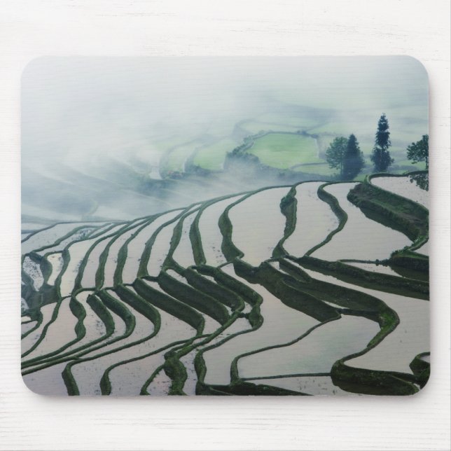 Morning Fog Above Rice Fields Mouse Mat (Front)