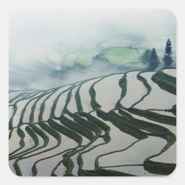 Morning Fog Above Rice Fields Square Sticker (Front)
