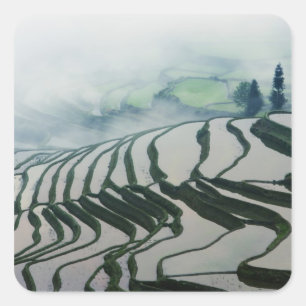 Morning Fog Above Rice Fields Square Sticker