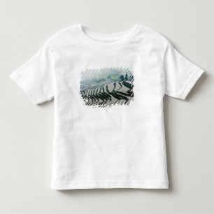 Morning Fog Above Rice Fields Toddler T-Shirt