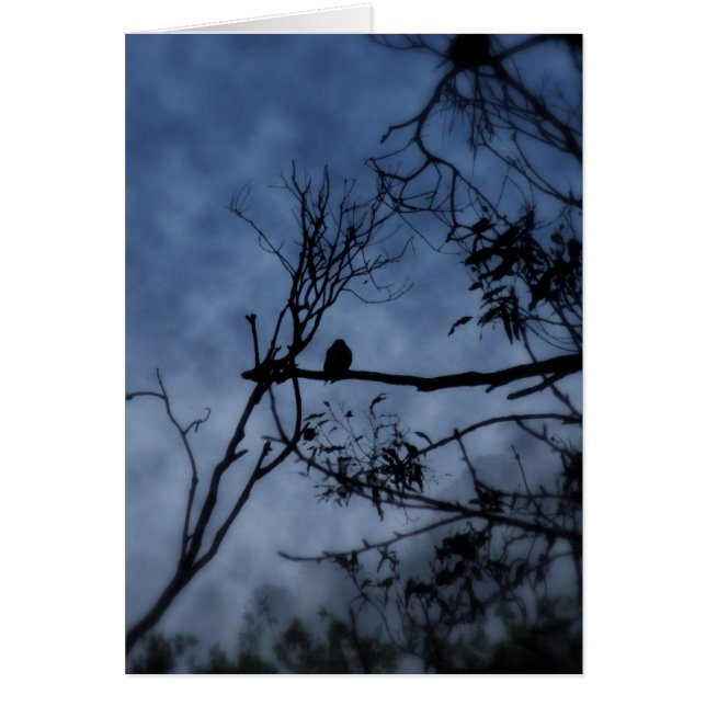 Morning Fog Bird on Branches Card (Front)