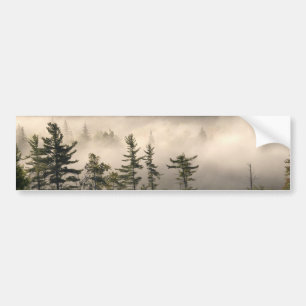 Morning Fog in the Adirondacks Bumper Sticker