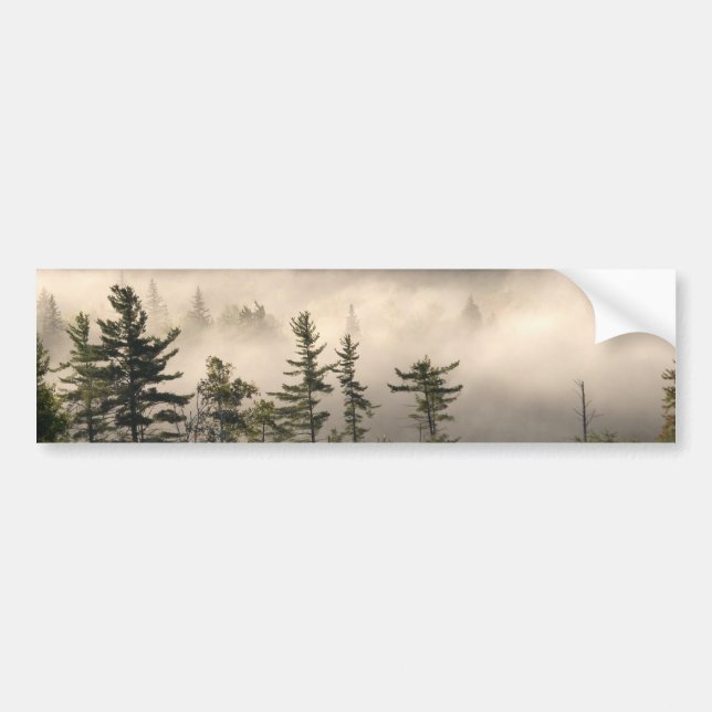 Morning Fog in the Adirondacks Bumper Sticker (Front)