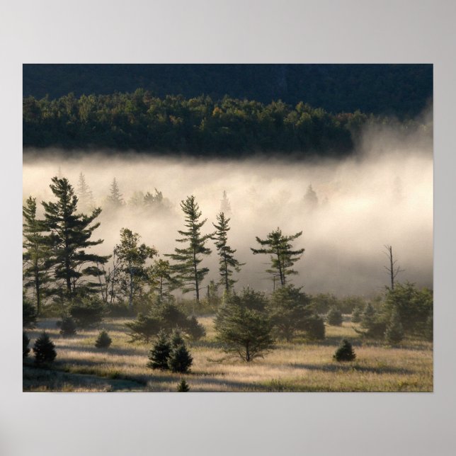 Morning Fog in the Adirondacks Poster (Front)