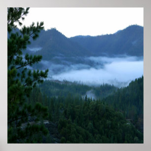 Morning fog.... poster