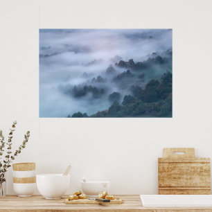 Morning fog rolling through trees poster
