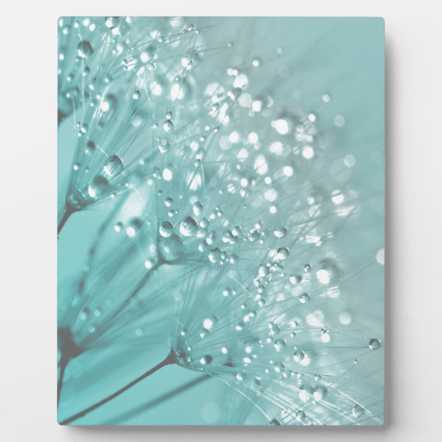 Morning Freshness Plaque (Front)