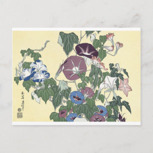 Morning Glories and Grog Postcard