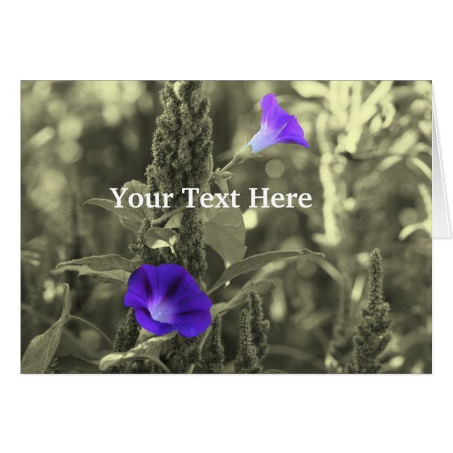 Morning Glories Black And White Flower Card (Front Horizontal)