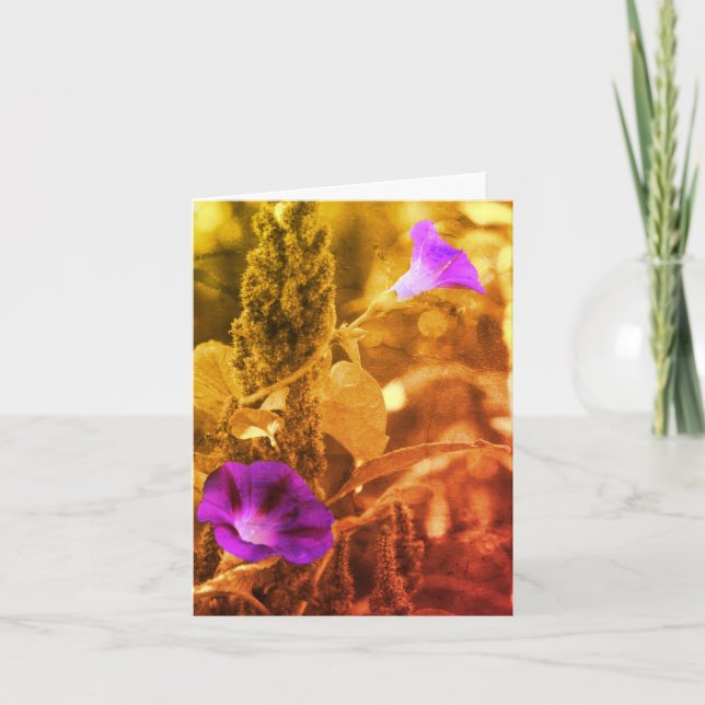 Morning Glories Black And White Note Card (Front)