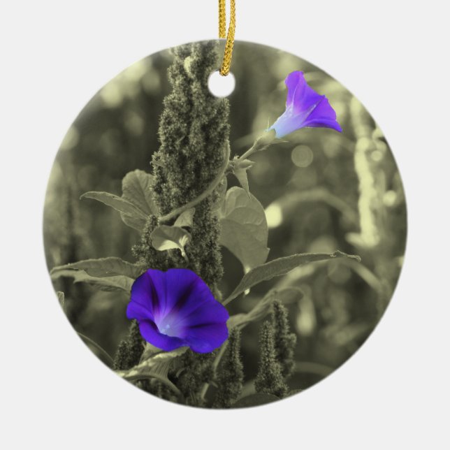Morning Glories Black White Flower Ornament (Front)
