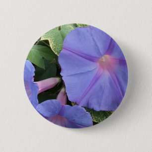 Morning Glories Button