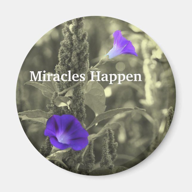Morning Glories Miracles Happen Magnet (Front)