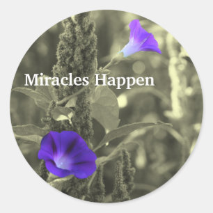 Morning Glories Miracles Happen Sticker