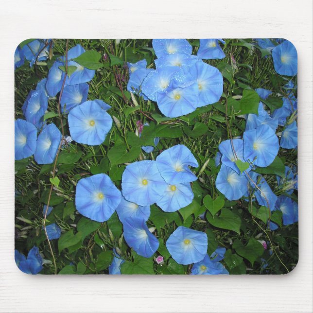 Morning Glories! Mouse Mat (Front)