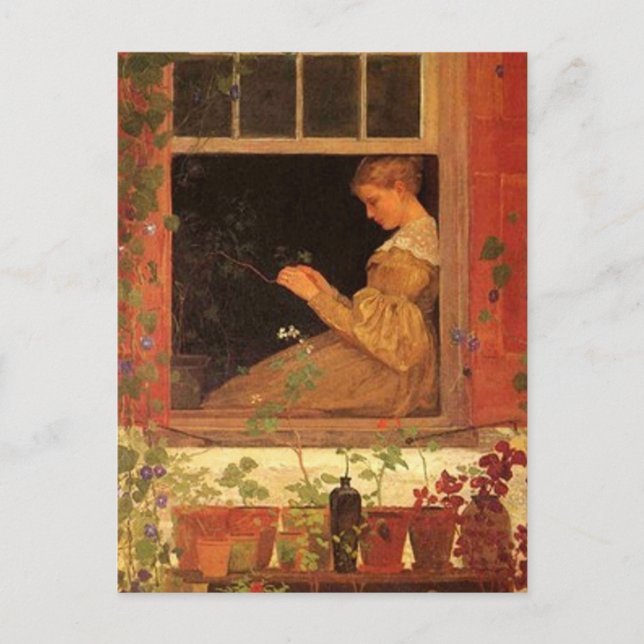 Morning Glories - Postcard (Front)