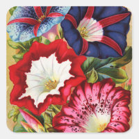 Morning Glories Stickers