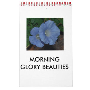 MORNING GLORY BEAUTIES CALENDAR