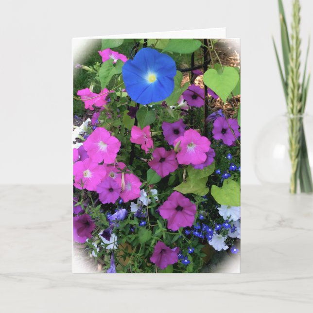 Morning Glory Blank Greeting Card (Front)