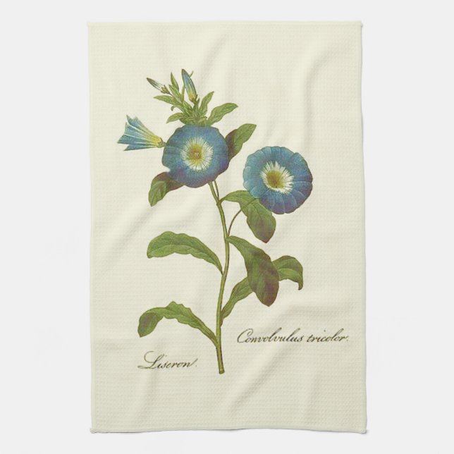Morning Glory Blue Illustration Tea Towel (Vertical)