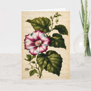 Morning Glory Botanical Illustration Birthday Card