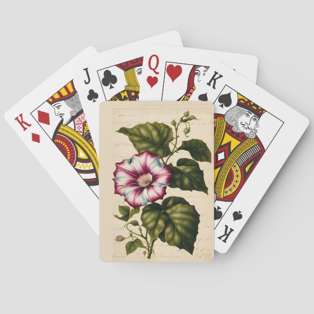 Morning Glory Botanical Illustration Playing Cards (Back)