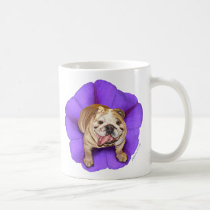 Morning Glory Bulldog Mug