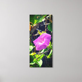 Morning glory canvas print