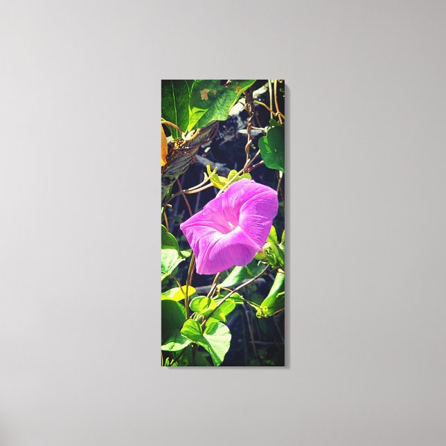 Morning glory canvas print (Front)