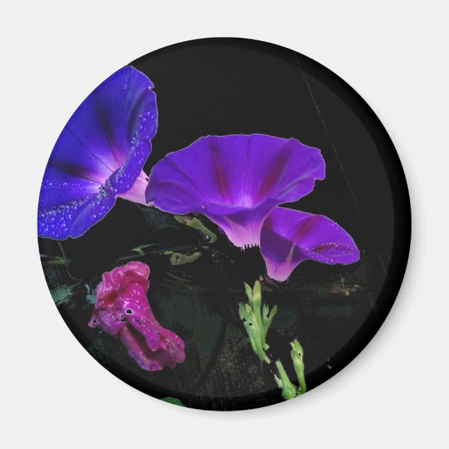 Morning Glory Flower Magnet (Front)