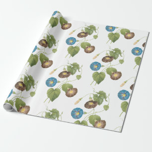 Morning Glory Flower Pattern Wrapping Paper