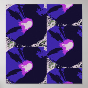 Morning Glory Flower Poster