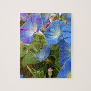 Morning Glory Flowers Jigsaw Puzzle