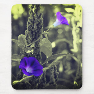 Morning Glory Flowers Mouse Mat