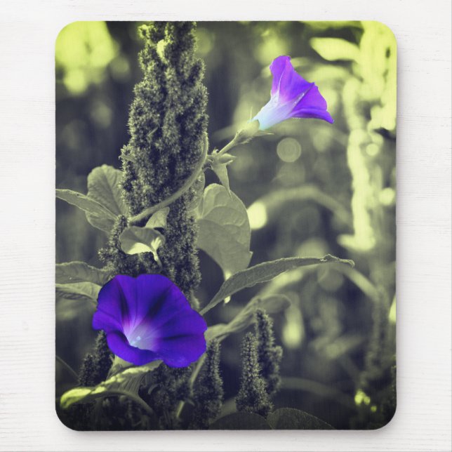 Morning Glory Flowers Mouse Mat (Front)