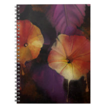 Morning Glory Flowers Notebook