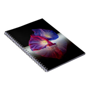 MORNING GLORY FLOWERS NOTEBOOK