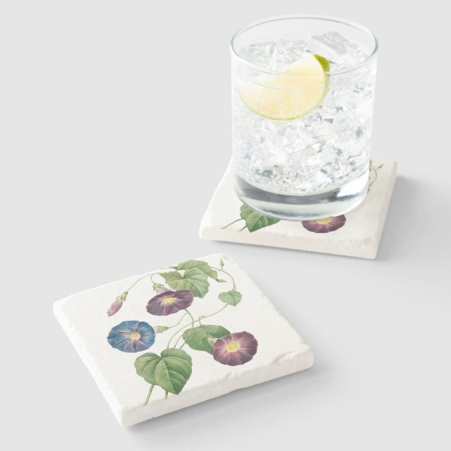 Morning Glory Flowers | Pierre-Joseph Redouté Stone Coaster (Side)